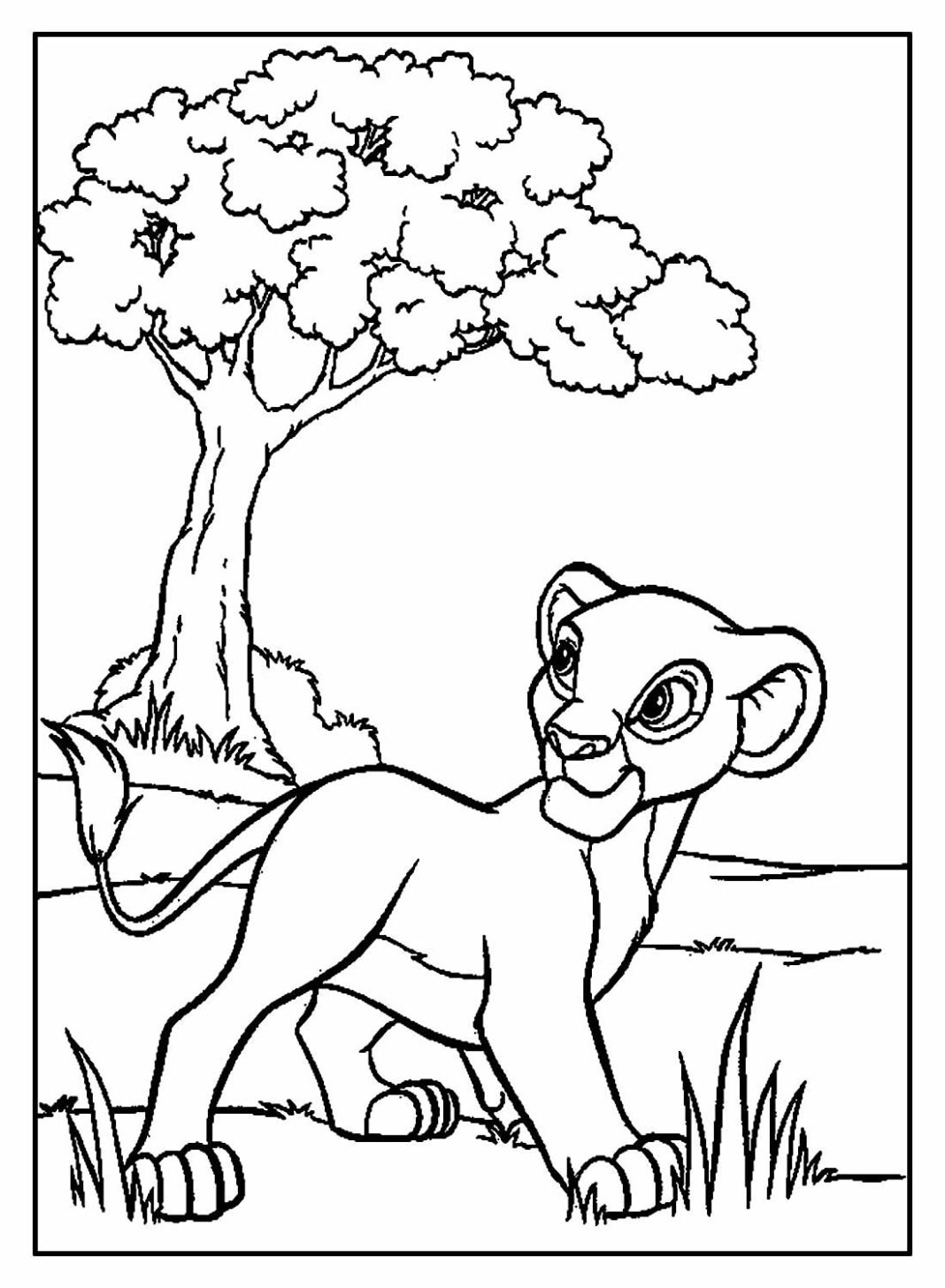 Desenhos do Simba para Colorir e Imprimir