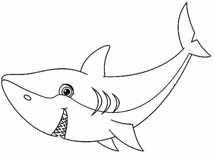 Desenhos de Tubarão para Colorir e Imprimir