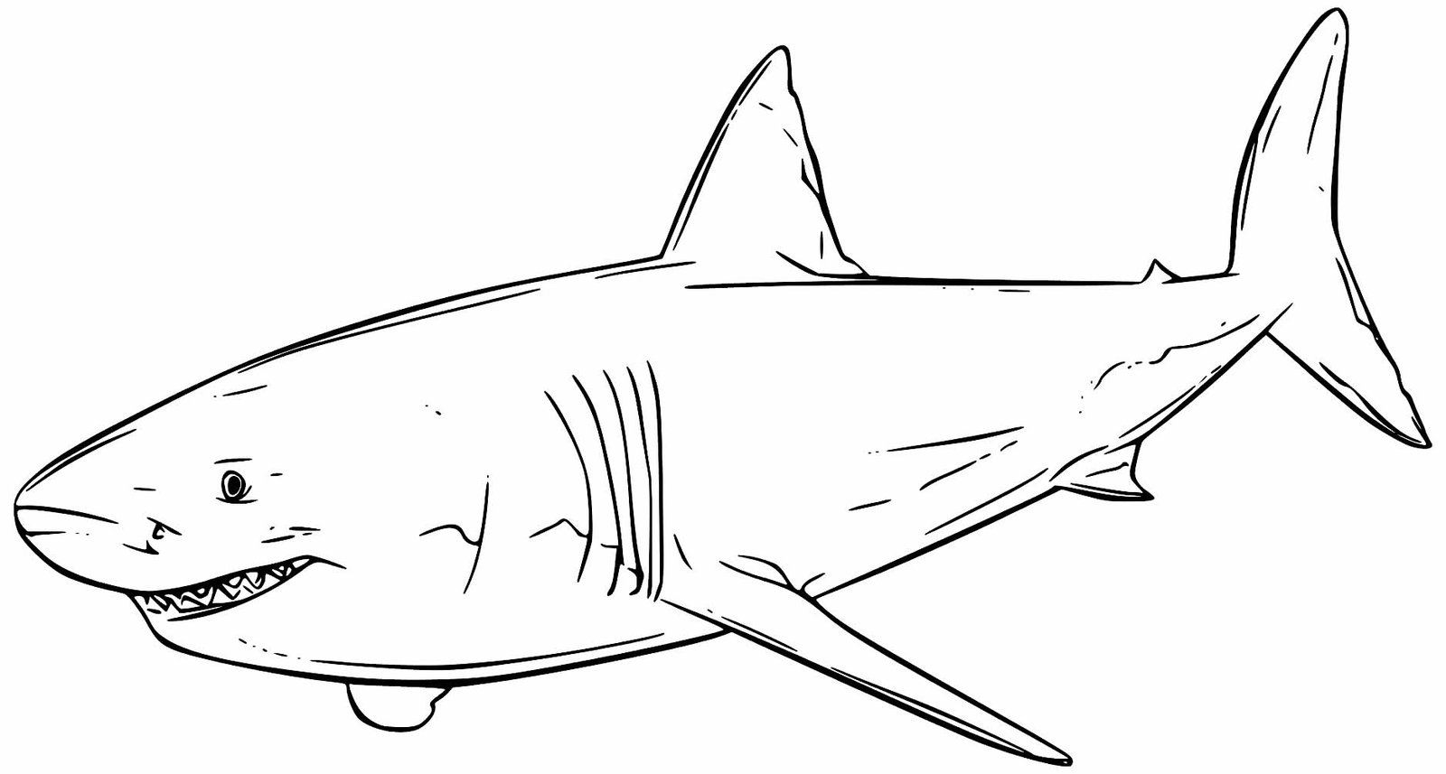 Desenhos de Tubarão para Colorir e Imprimir