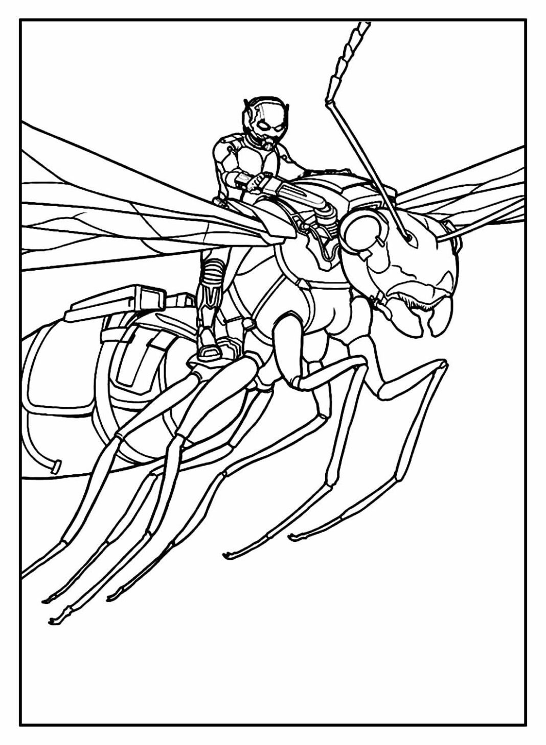 Desenhos do Homem Formiga para Colorir e Imprimir