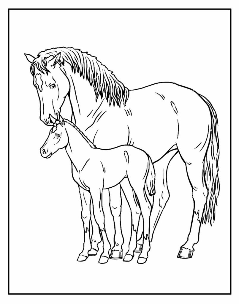 desenhos e paginas para colorir de animais 12