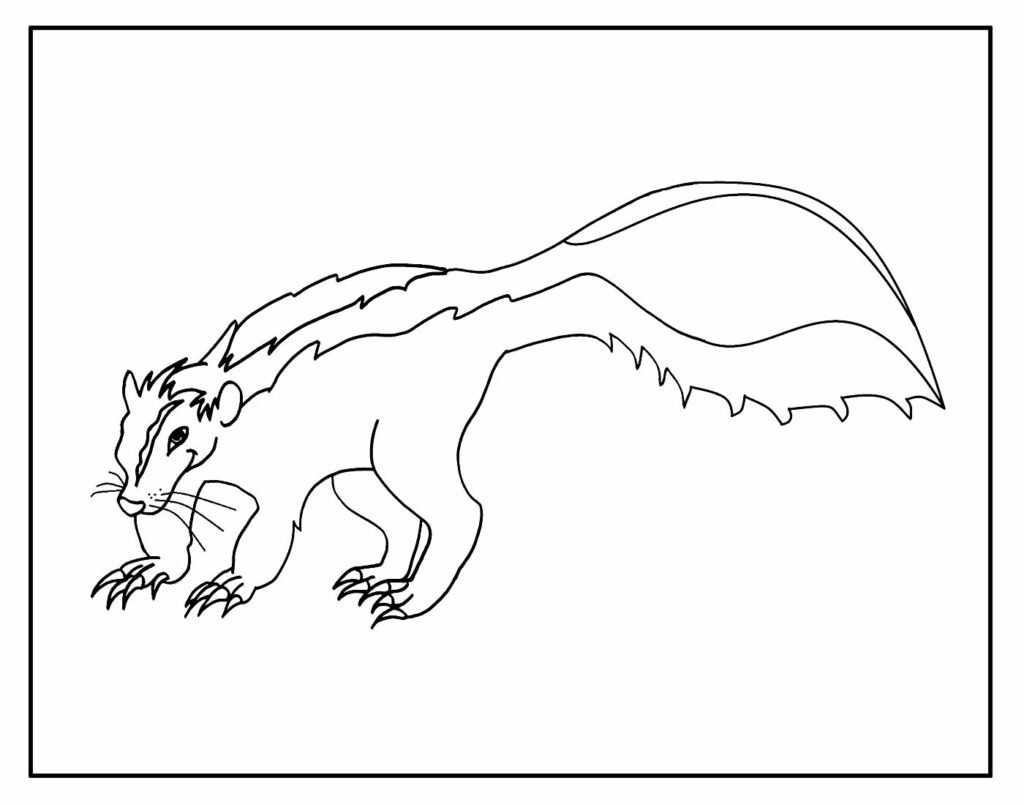 desenhos e paginas para colorir de animais 16