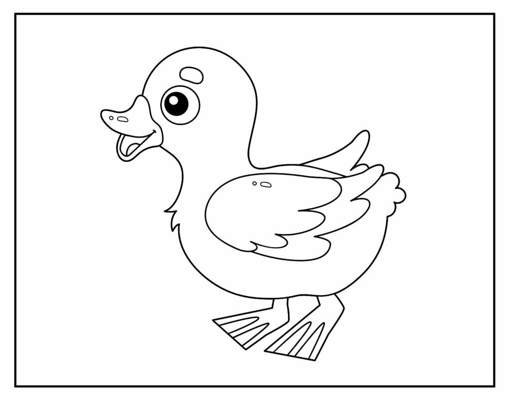 desenhos e paginas para colorir de animais 7