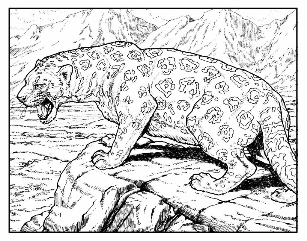 desenhos e paginas para colorir de animais 9