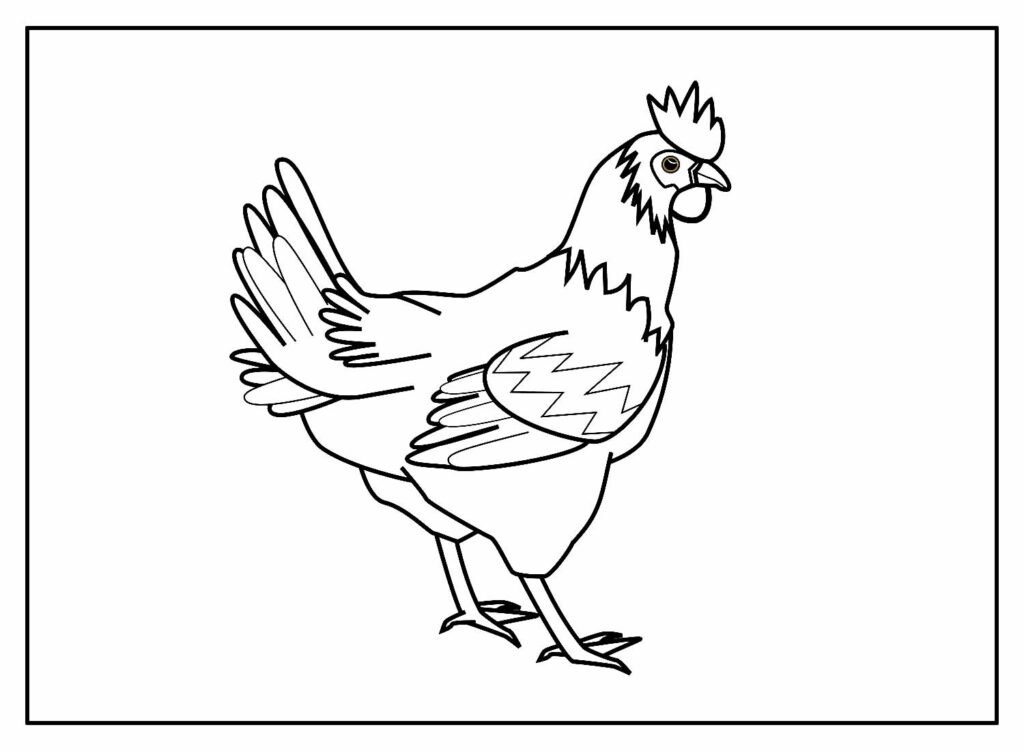 desenhos galinha 2