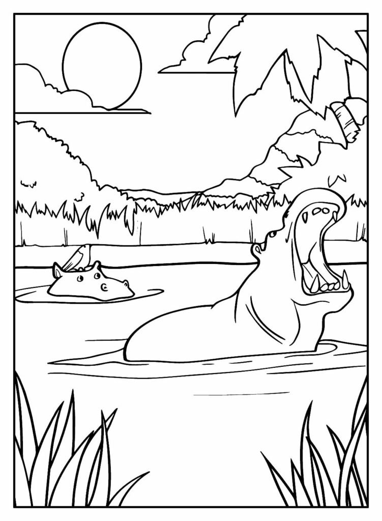 desenhos hipopotamo 1