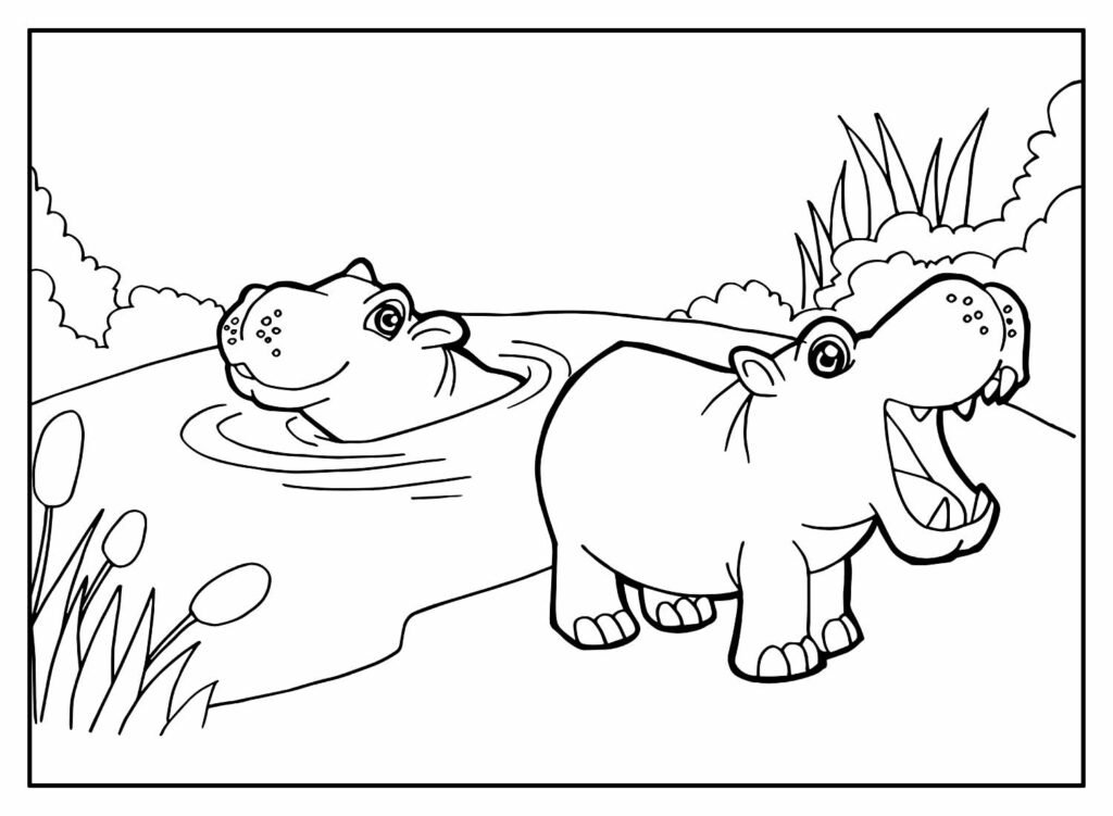 desenhos hipopotamo 4