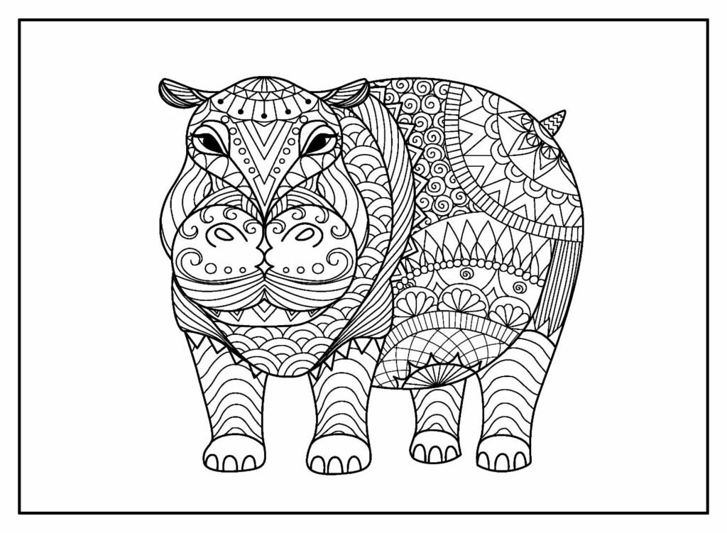 desenhos hipopotamo 5