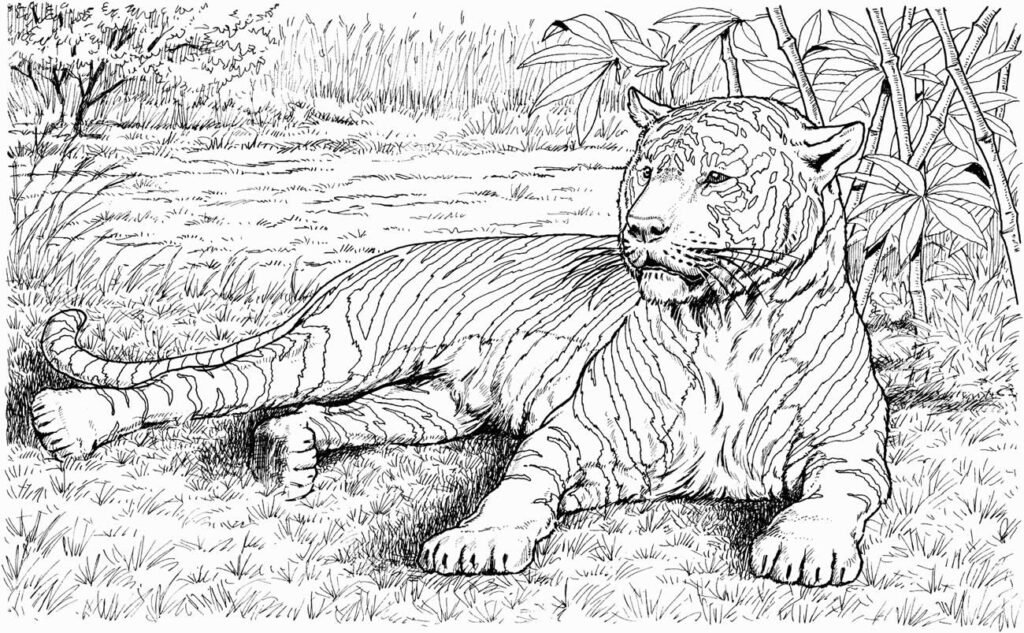 desenhos realistas para colorir 12