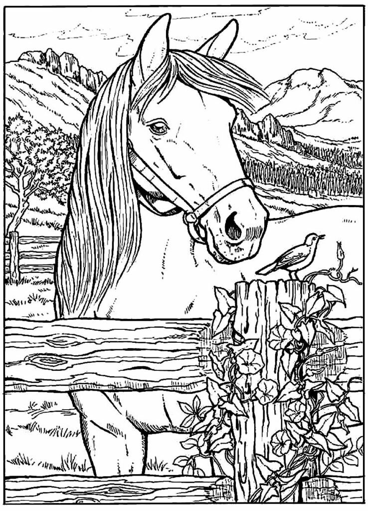 desenhos realistas para colorir 16