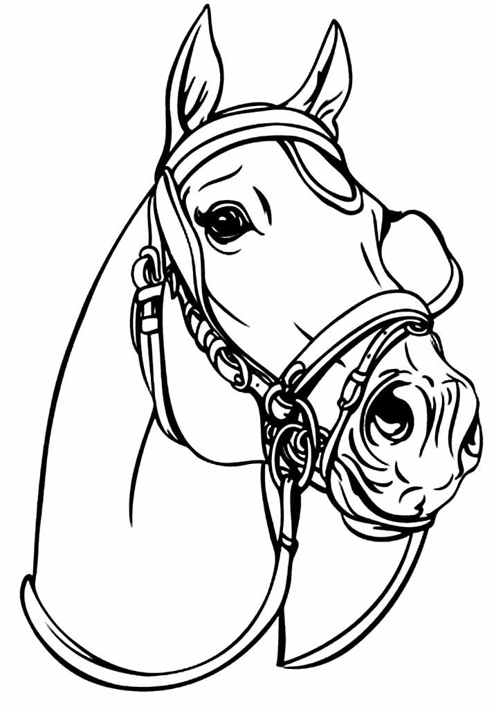 desenhos realistas para colorir 18