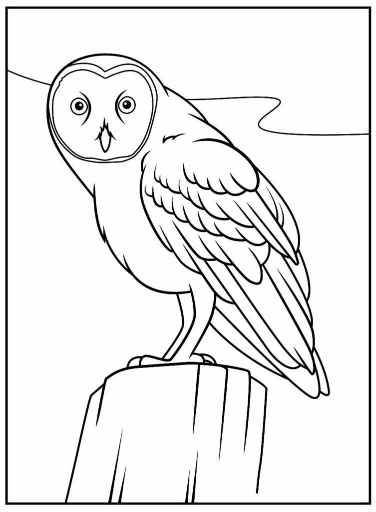 desenhos realistas para colorir 4