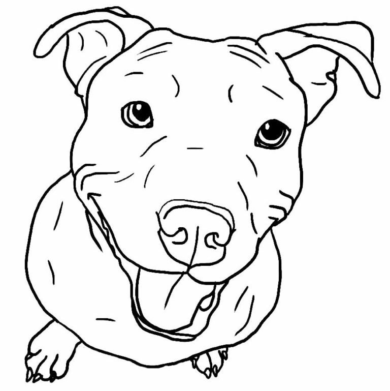 Desenhos Realistas para Colorir e Imprimir