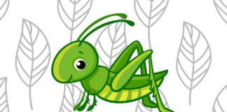 Desenhos de Gafanhotos para Colorir e Imprimir gafanhoto para colorir