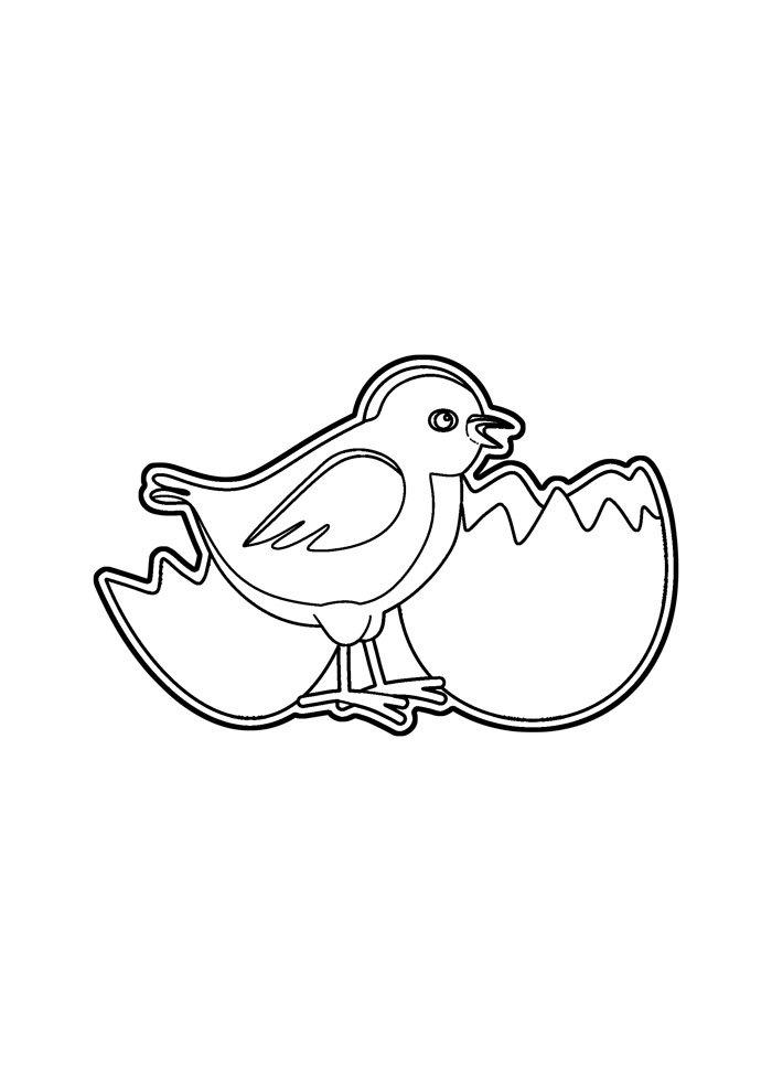 galinha para colorir 18 galinha para colorir 18