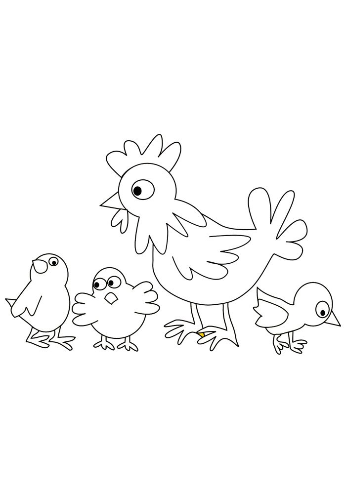 galinha para colorir 20 galinha para colorir 20