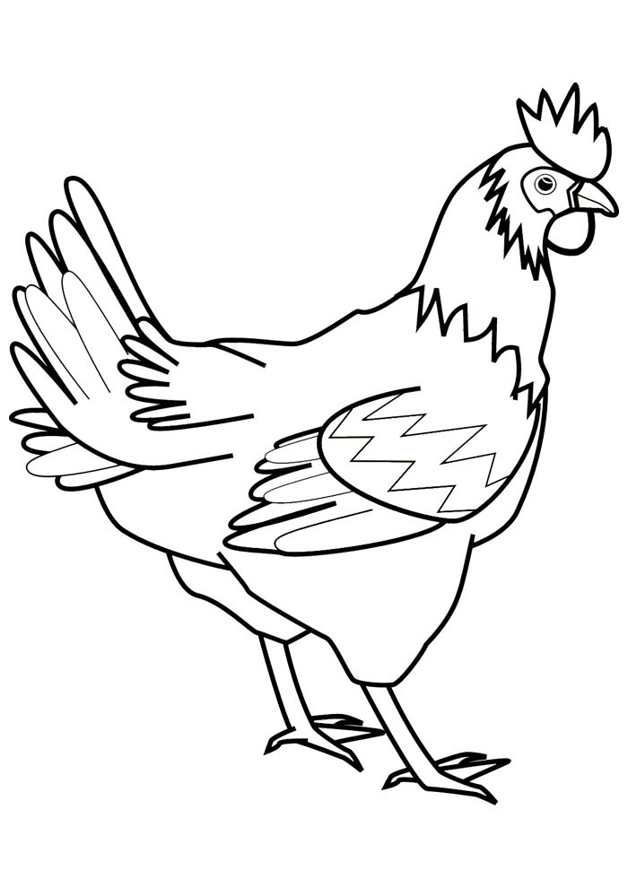 galinha para colorir 6