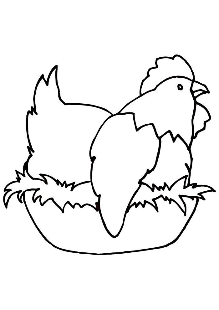 galinha para colorir 7
