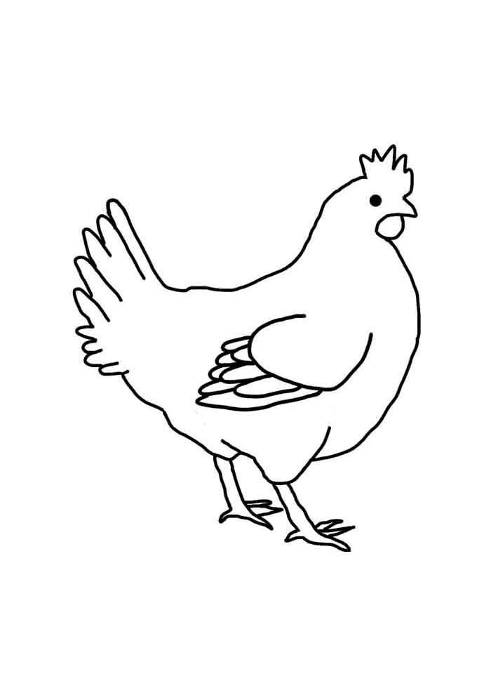 galinha para colorir criancas 1