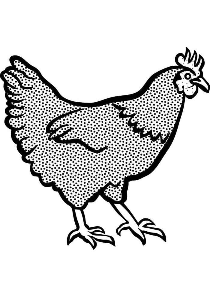 galinha para colorir pintadinha 1