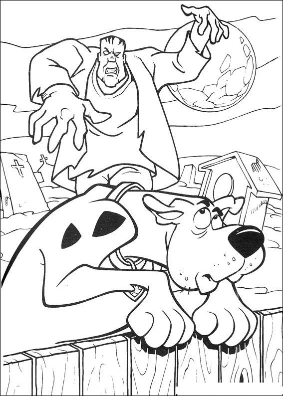 scooby doo 31