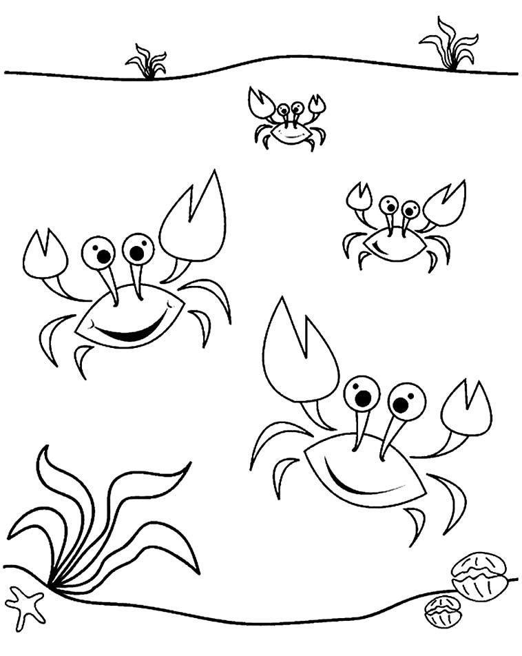 desenho de caranguejo para pintar e colorir 9