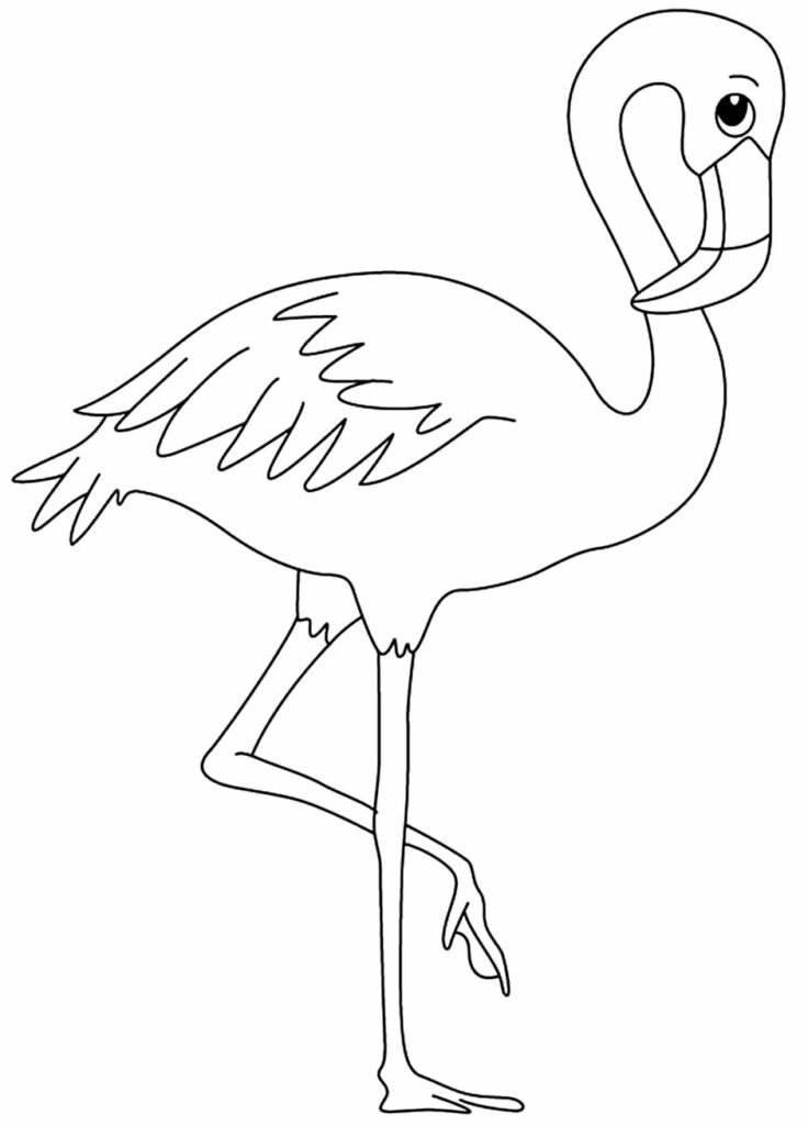 desenho de flamingo para colorir 1