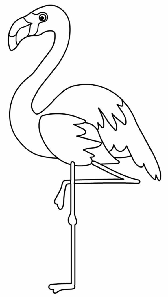 desenho de flamingo para colorir 10