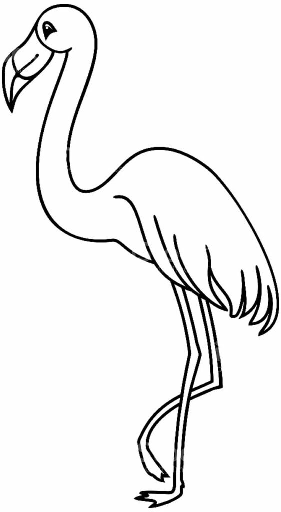 desenho de flamingo para colorir 3