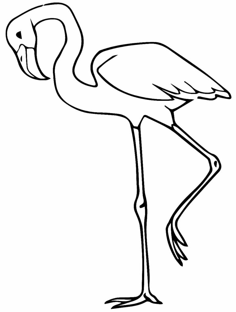 desenho de flamingo para colorir 6