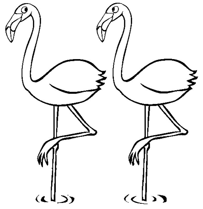 desenho de flamingo para pintar 9
