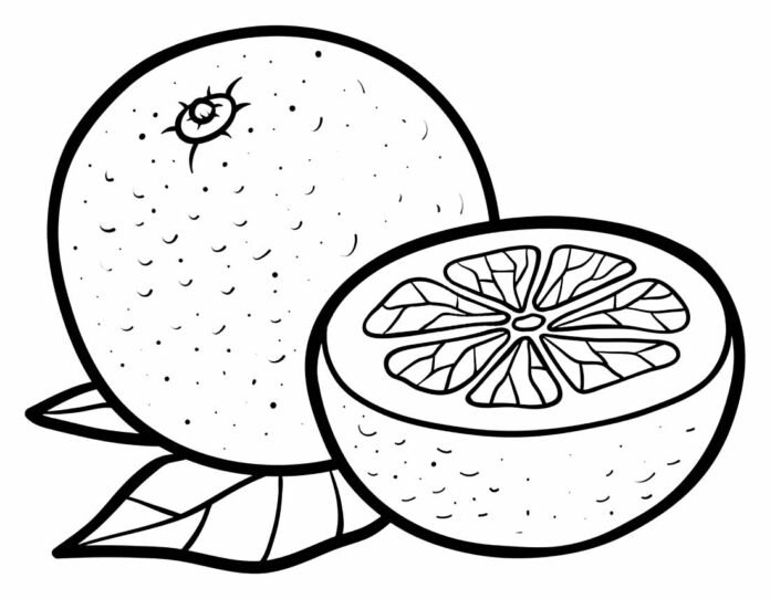 Desenhos de Laranjas para Colorir e Imprimir - Aprender a Desenhar