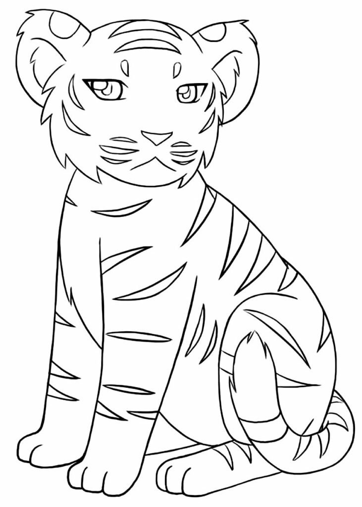 desenho de tigre para pintar e colorir 100