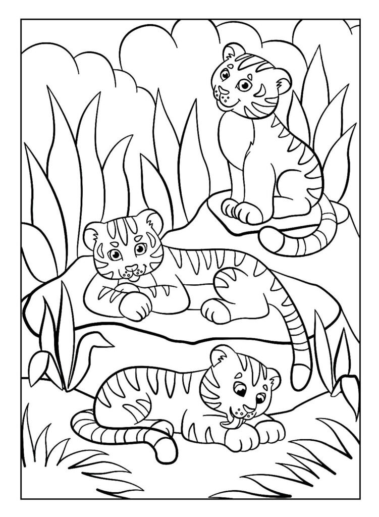 desenho de tigre para pintar e colorir 16