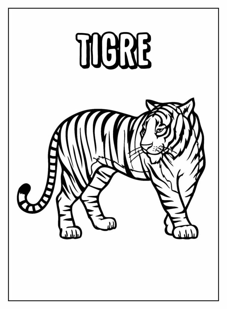 desenho de tigre para pintar e colorir 19