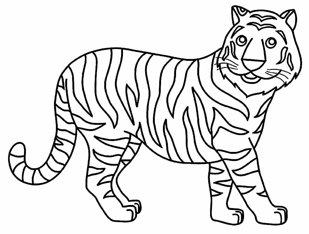 desenho de tigre para pintar e colorir 2