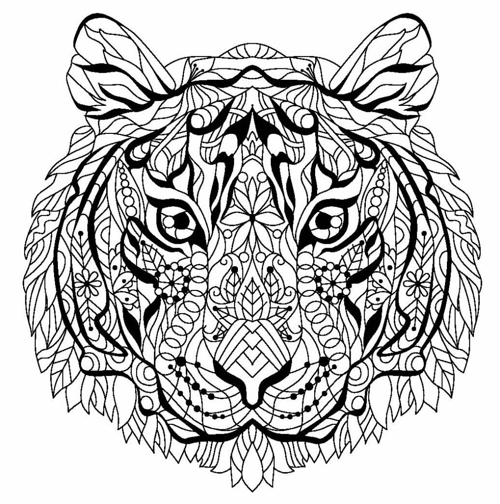 desenho de tigre para pintar e colorir 300