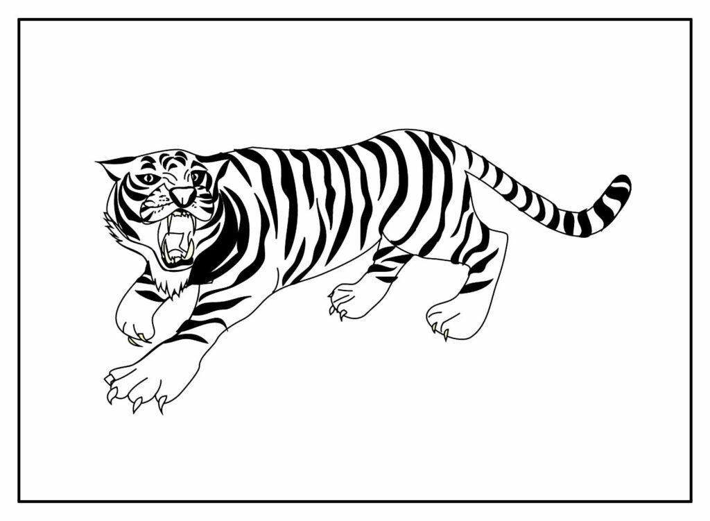 desenho de tigre para pintar e colorir 33