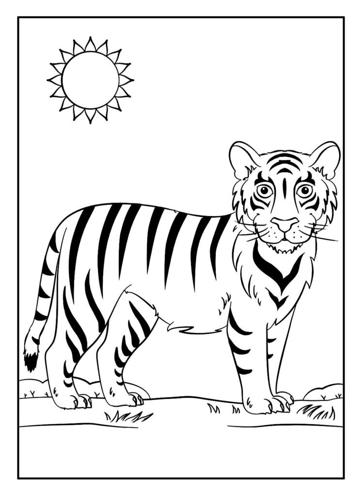 desenho de tigre para pintar e colorir 5