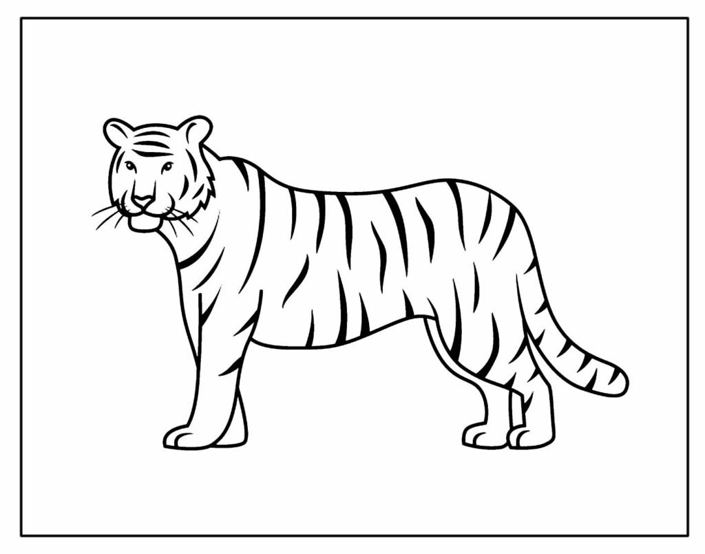 desenho para colorir e pintar de tigre 15