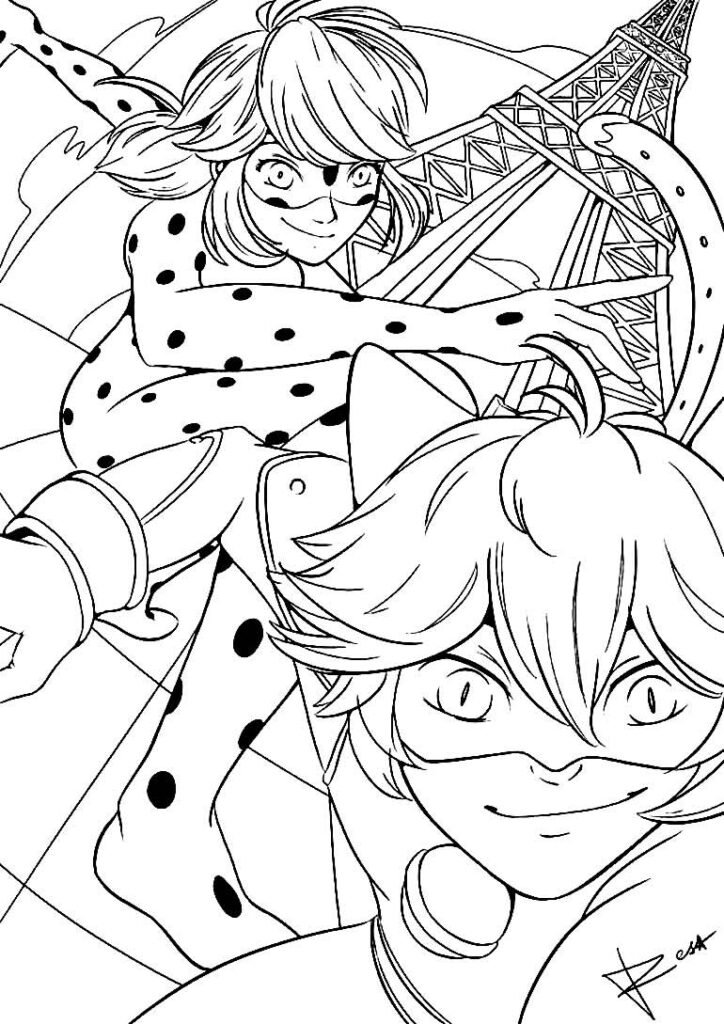 desenhos da ladybug e cat noir 8