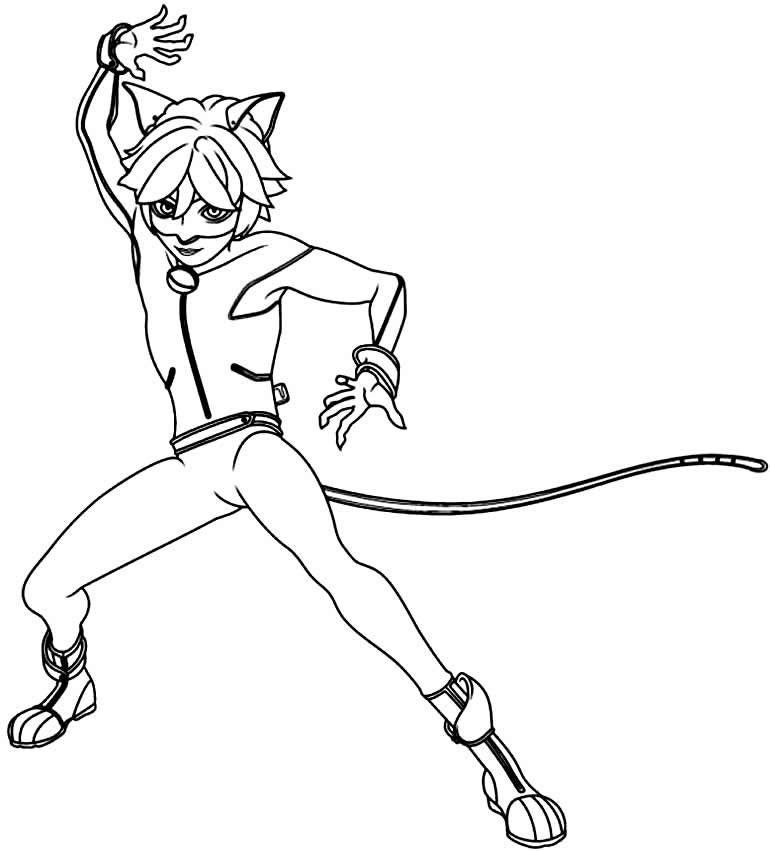 desenhos da ladybug e cat noir 9