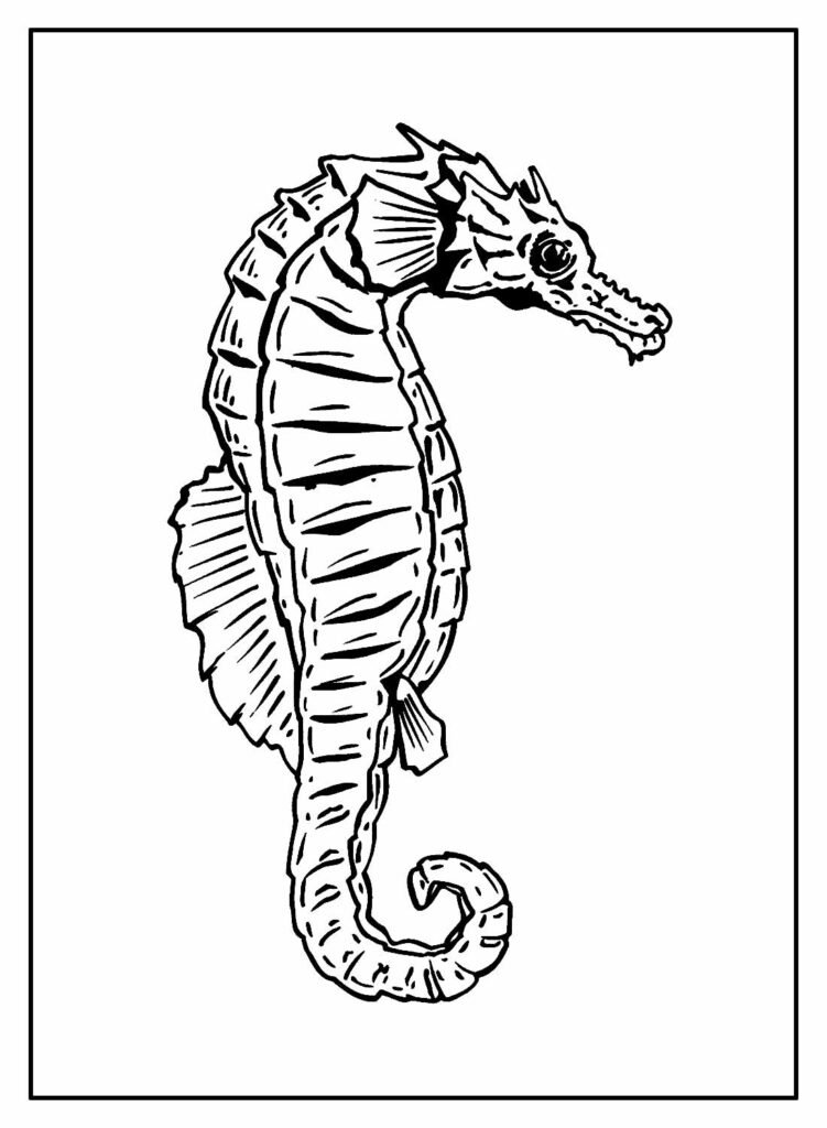 desenhos de cavalo marinho para colorir 24