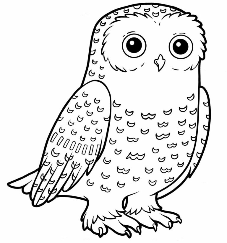 Desenhos de Coruja para Colorir e Imprimir - Aprender a Desenhar