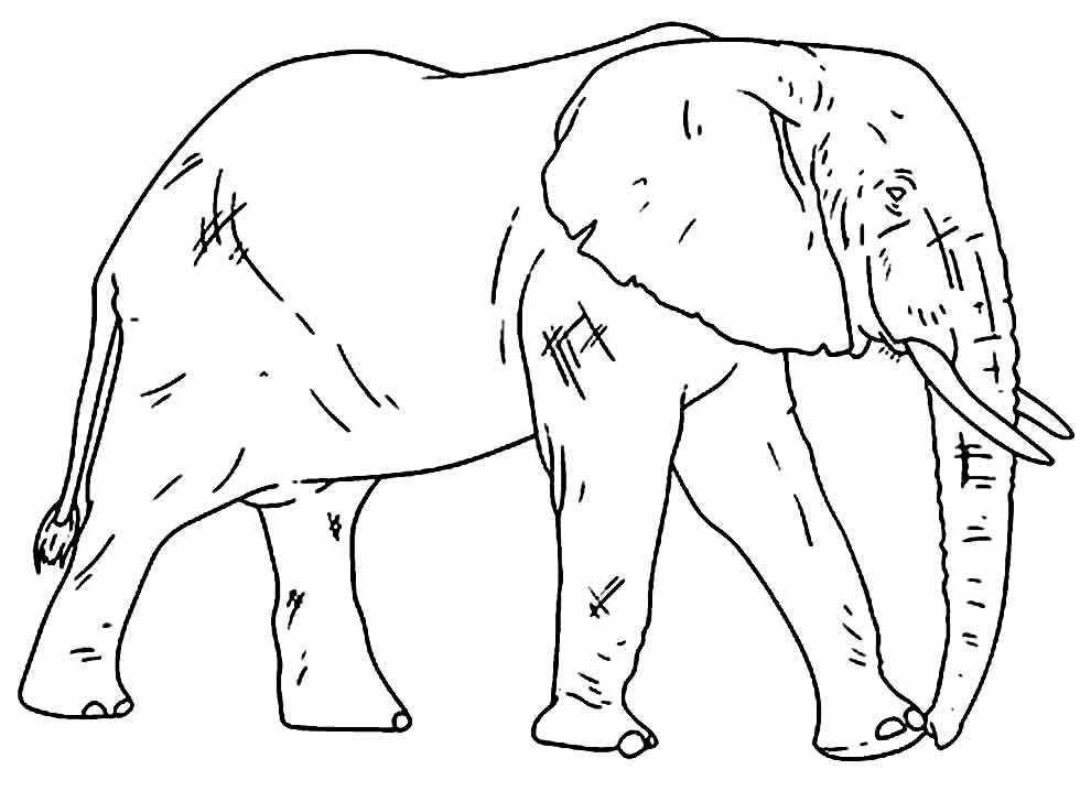desenhos de elefante para colorir 30