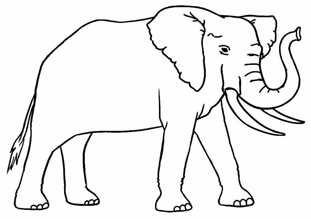 desenhos de elefante para colorir 4