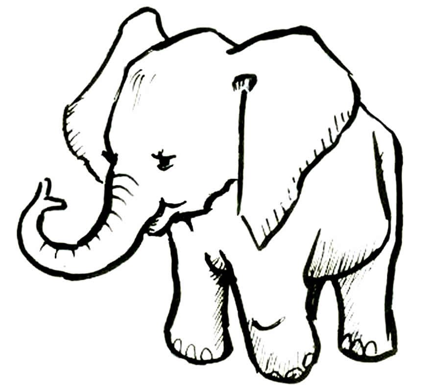 desenhos de elefante para colorir 400