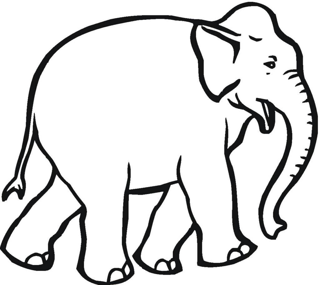 desenhos de elefante para colorir e pintar 2