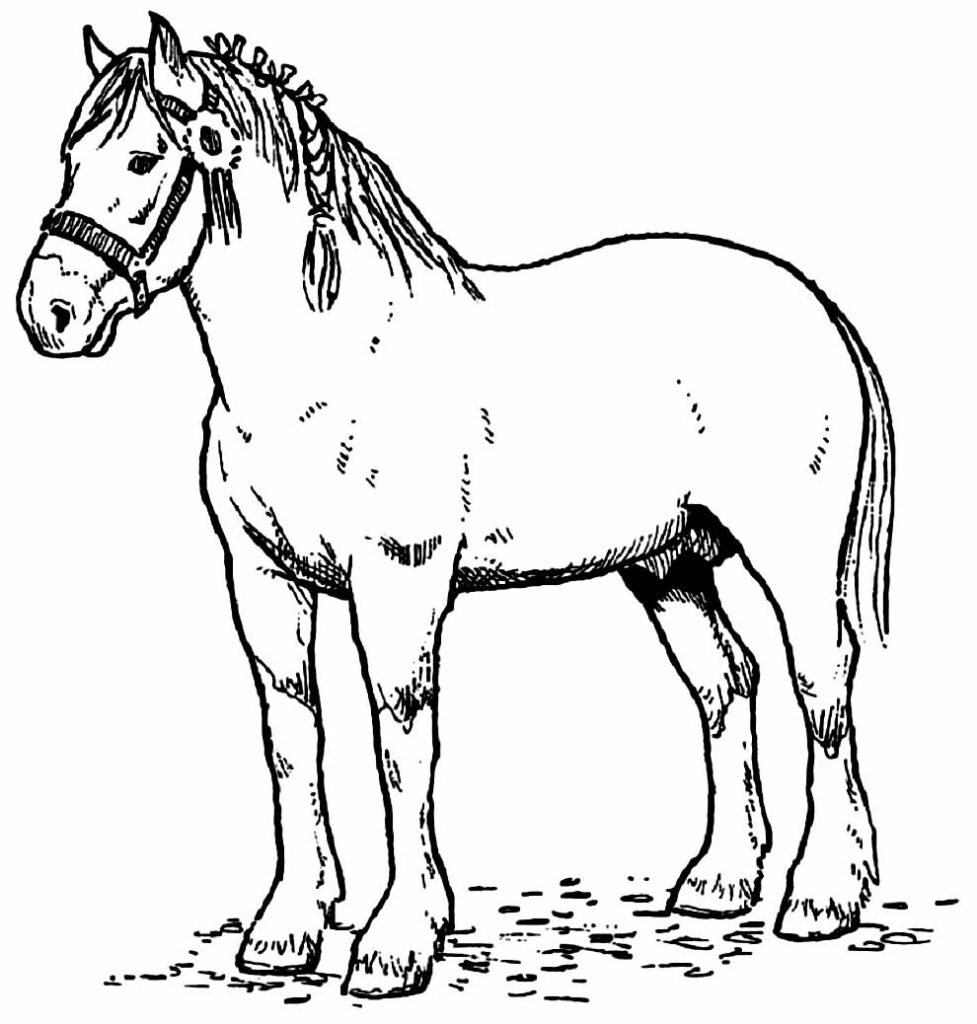 desenhos de fazenda para colorir 27 desenhos de fazenda para colorir 27