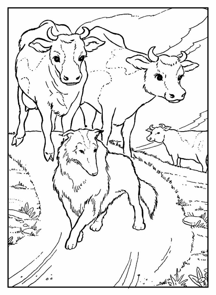 desenhos de fazenda para colorir 29